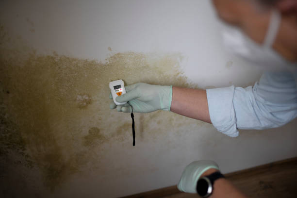 Water Damage Restoration in Naugatuck, CT